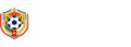 荷兰队直播